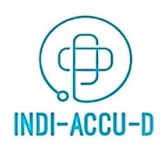INDI-ACCU-D_logo